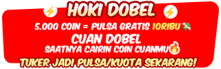Double HOKI